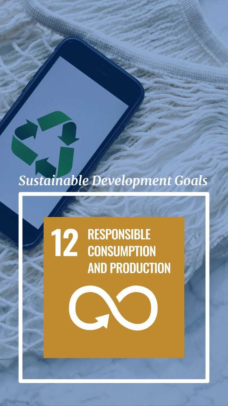 SDG 12