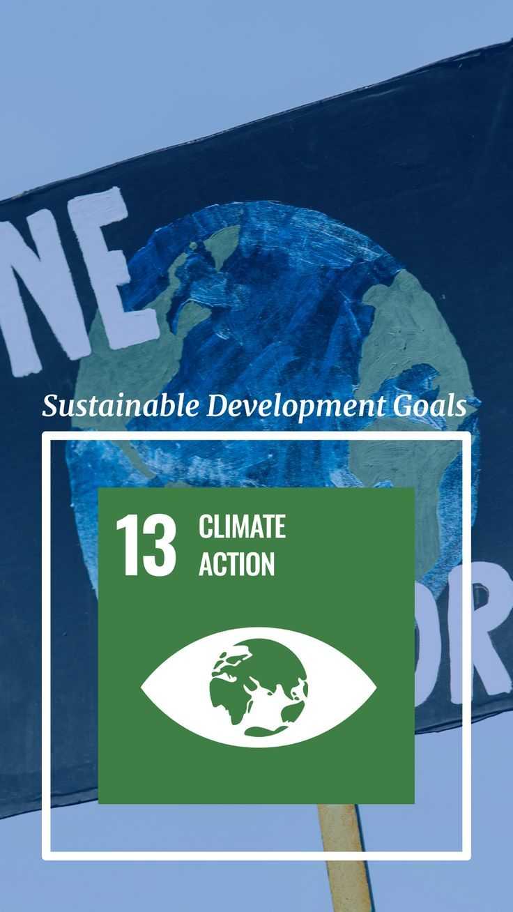 SDG 13