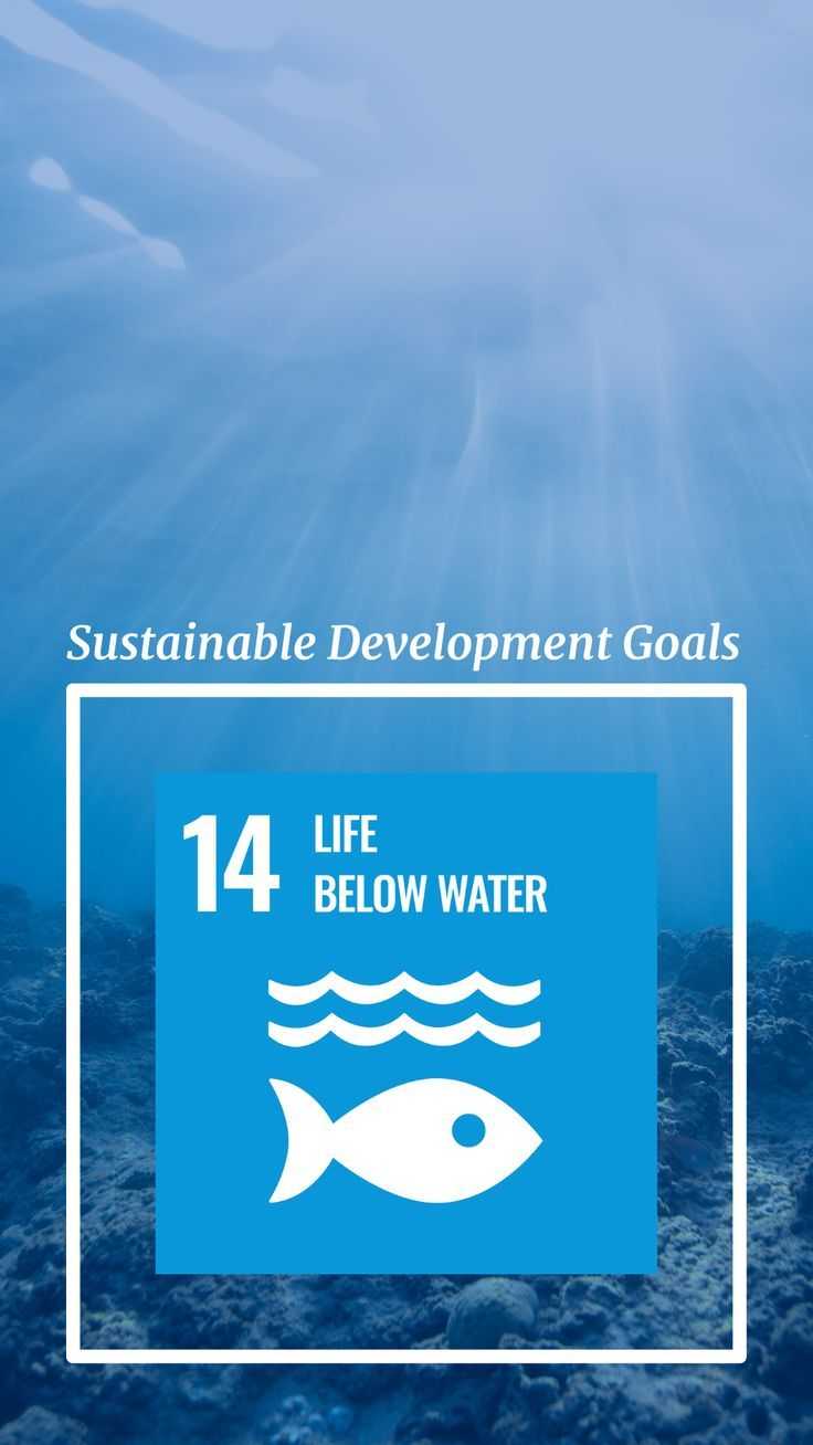 SDG 14