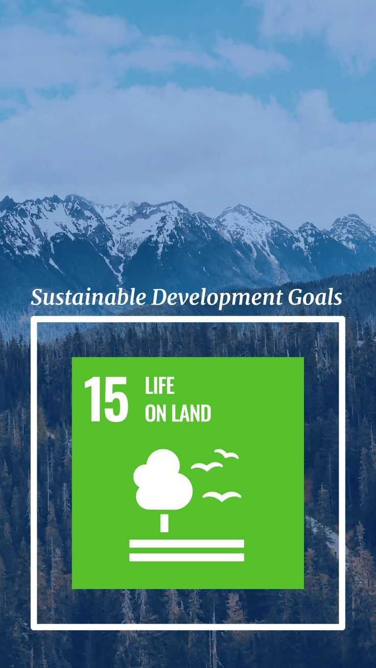 SDG 15